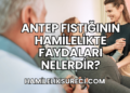 Antep Fıstığının Hamilelikte Faydaları Nelerdir?