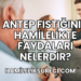 Antep Fıstığının Hamilelikte Faydaları Nelerdir?