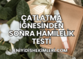 Çatlatma İğnesinden Sonra Hamilelik Testi