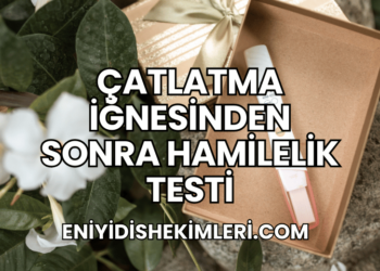 Çatlatma İğnesinden Sonra Hamilelik Testi