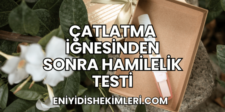 Çatlatma İğnesinden Sonra Hamilelik Testi