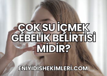 Çok Su İçmek Gebelik Belirtisi midir?