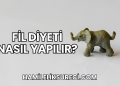 Fil Diyeti Nasıl Yapılır?