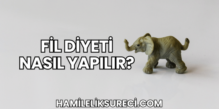 Fil Diyeti Nasıl Yapılır?
