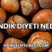 Fındık Diyeti Nedir?