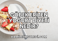 Göbek Eriten Yoğurt Diyeti Nedir?
