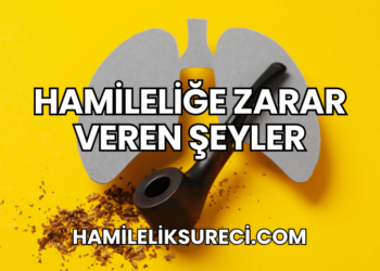 Hamileliğe Zarar Veren Şeyler