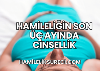 Hamileliğin Son Üç Ayında Cinsellik