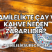 Hamilelikte Çay ve Kahve Neden Zararlıdır?