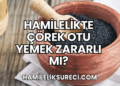 Hamilelikte Çörek Otu Yemek Zararlı mı