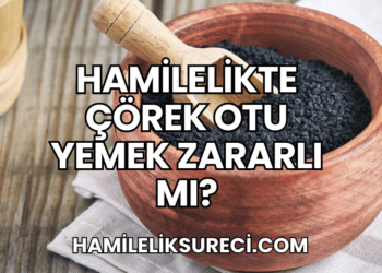 Hamilelikte Çörek Otu Yemek Zararlı mı