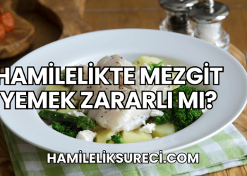 Hamilelikte Mezgit Yemek Zararlı mı?