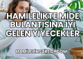 Hamilelikte Mide Bulantısına İyi Gelen Yiyecekler
