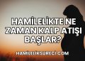 Hamilelikte Ne Zaman Kalp Atışı Başlar?