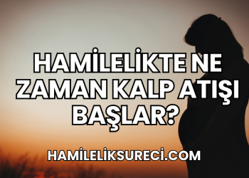 Hamilelikte Ne Zaman Kalp Atışı Başlar?