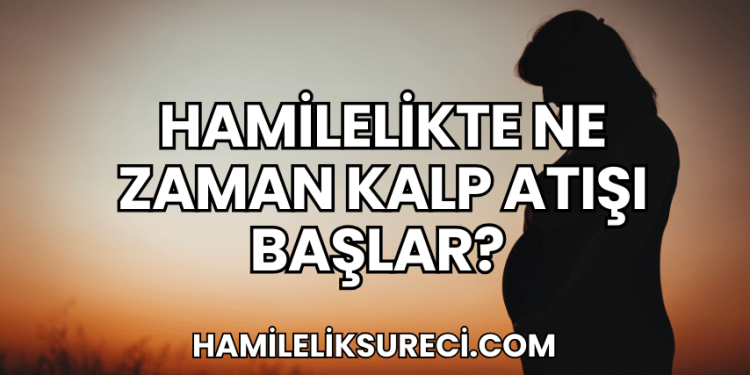 Hamilelikte Ne Zaman Kalp Atışı Başlar?