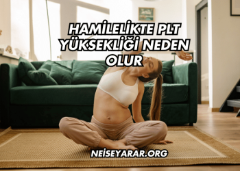 Hamilelikte PLT Yüksekliği Neden Olur