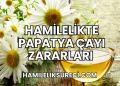 Hamilelikte Papatya Çayı Zararları