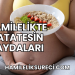Hamilelikte Patatesin Faydaları
