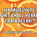 Hamilelikte Portakal Yemek Zararlı mı?