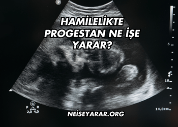 Hamilelikte Progestan Ne İşe Yarar?