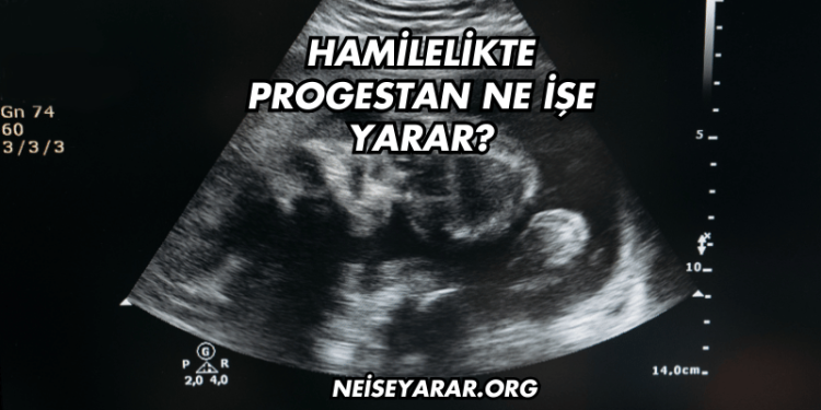 Hamilelikte Progestan Ne İşe Yarar?