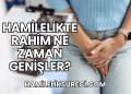 Hamilelikte Rahim Ne Zaman Genişler?