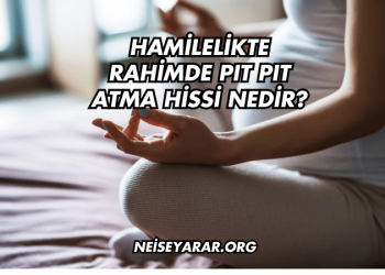 Hamilelikte Rahimde Pıt Pıt Atma Hissi Nedir?