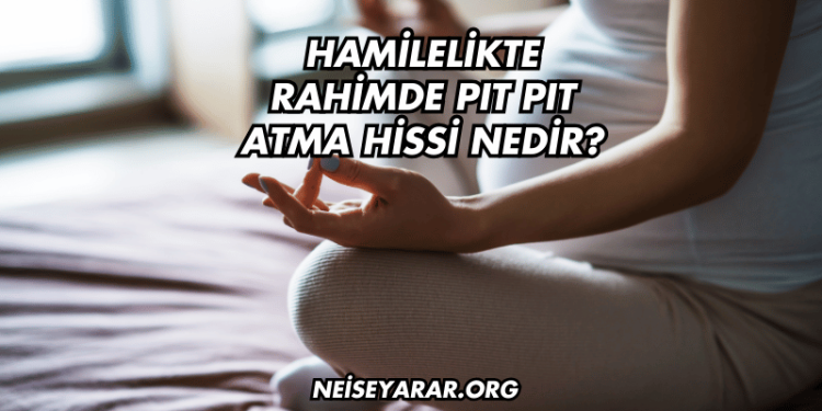 Hamilelikte Rahimde Pıt Pıt Atma Hissi Nedir?