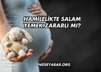 Hamilelikte Salam Yemek Zararlı mı?