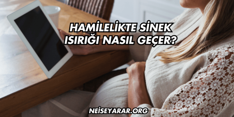 Hamilelikte Sinek Isırığı Nasıl Geçer?