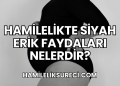 Hamilelikte Siyah Erik Faydaları Nelerdir?