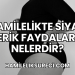 Hamilelikte Siyah Erik Faydaları Nelerdir?