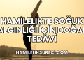 Hamilelikte Soğuk Algınlığı İçin Doğal Tedavi