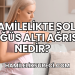 Hamilelikte Sol Göğüs Altı Ağrısı Nedir?