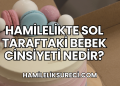 Hamilelikte Sol Taraftaki Bebek Cinsiyeti Nedir?