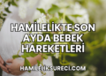 Hamilelikte Son Ayda Bebek Hareketleri