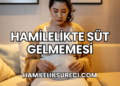 Hamilelikte Süt Gelmemesi