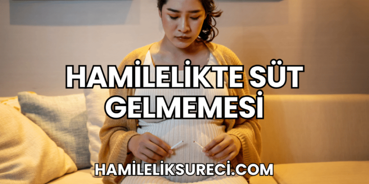 Hamilelikte Süt Gelmemesi