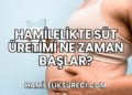 Hamilelikte Süt Üretimi Ne Zaman Başlar?