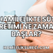 Hamilelikte Süt Üretimi Ne Zaman Başlar?