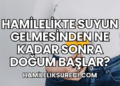 Hamilelikte Suyun Gelmesinden Ne Kadar Sonra Doğum Başlar?