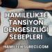 Hamilelikte Tansiyon Dengesizliği Sebepleri