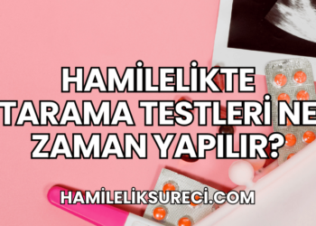 Hamilelikte Tarama Testleri Ne Zaman Yapılır?