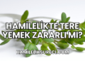 Hamilelikte Tere Yemek Zararlı mı?