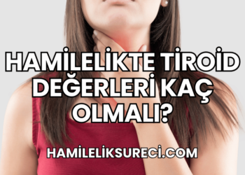 Hamilelikte Tiroid Değerleri Kaç Olmalı?