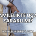 Hamilelikte Uçak Zararlı mı?