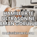 Hamilelikte Ultrason Ne Zaman Görülür?