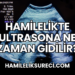 Hamilelikte Ultrasona Ne Zaman Gidilir?