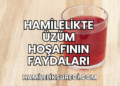 Hamilelikte Üzüm Hoşafının Faydaları